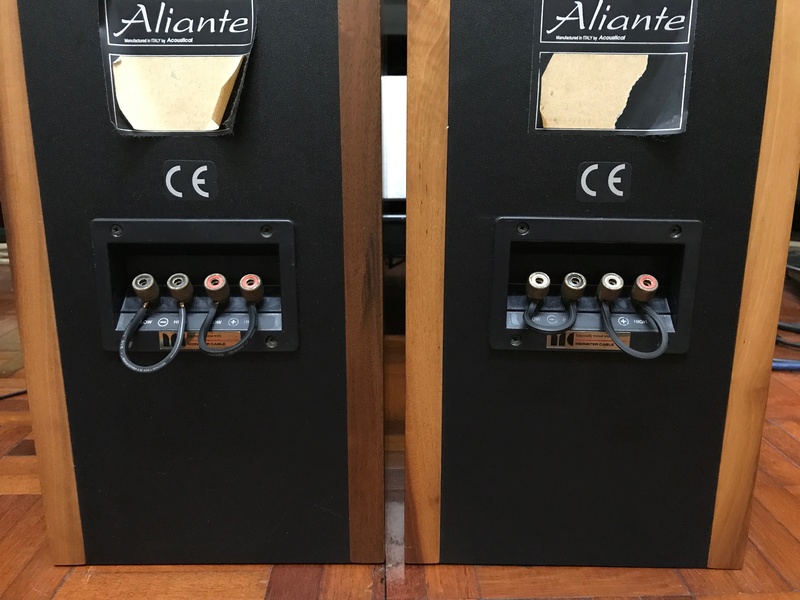 Aliante Spazio Bookshelf Speakers (Used) SOLD 0d489e10