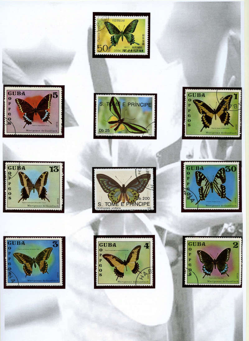 Briefmarken - Schmetterlinge und Libellen - Kleine bunte fliegende Juwele Img04910