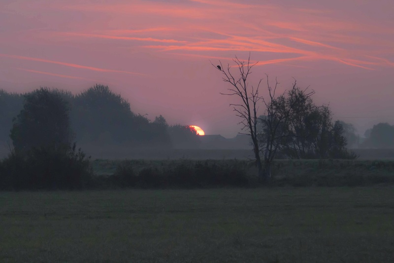 coucher de soleil la semaine dernière Couchy15