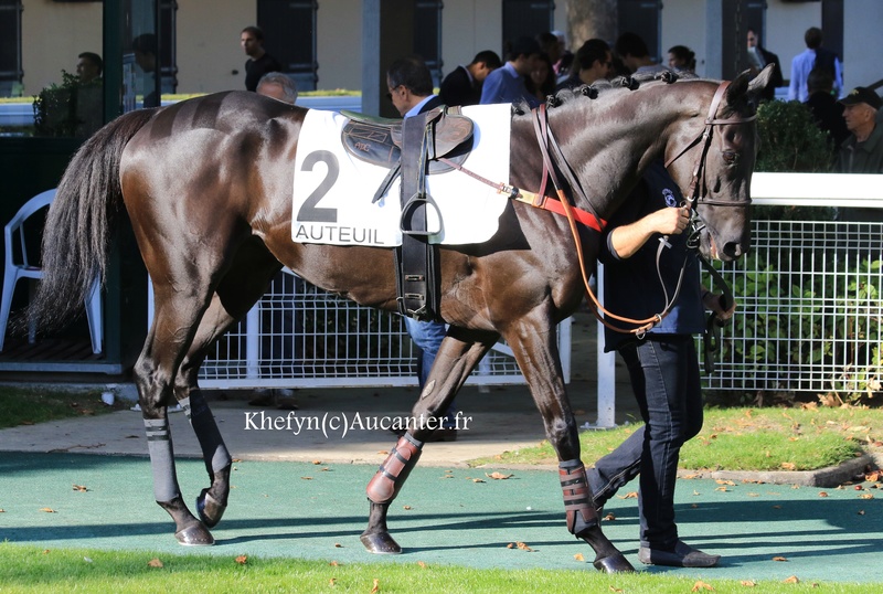 Photos Auteuil 23-09-2017 5j6a6817
