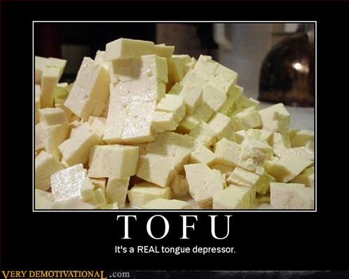 Effective today, we are all #TeamCam Tofu-t10