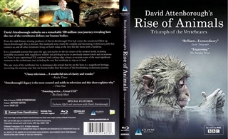 Az állatvilág története David Attenborough-val (Rise of The Animals With David Attenborough) 2013 BRRip 720p Hun mkv Az_yyl10