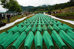 Čeda Jovanović:Srebrenica je naša sramota i grijeh - Page 2 Img_1729