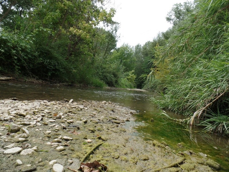 Rivière du Vaucluse Bioto225