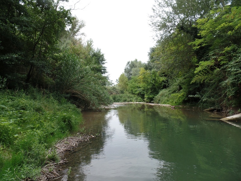 Rivière du Vaucluse Bioto227