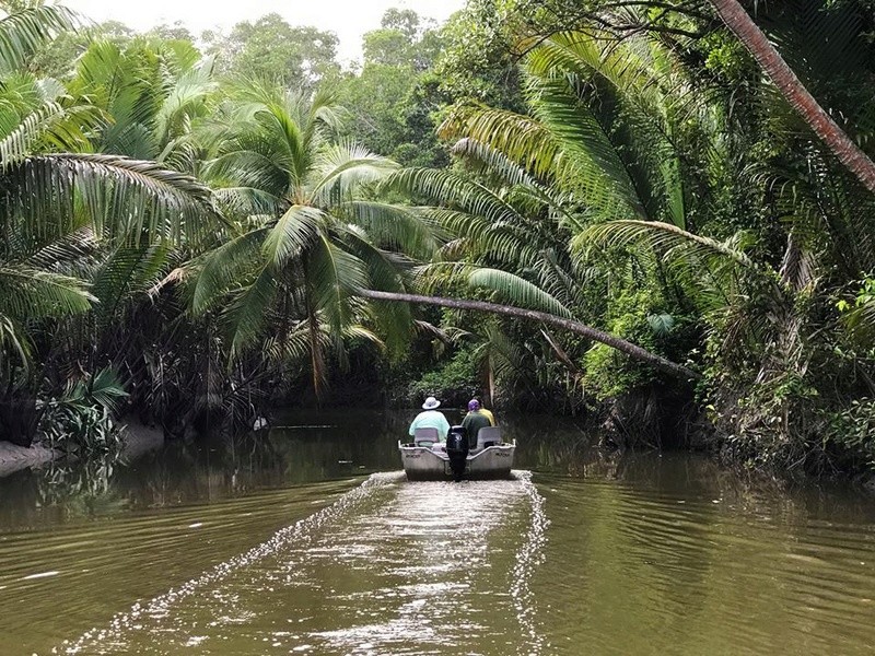 Le foto piu' belle fatte in pesca. - Pagina 16 Papuan10