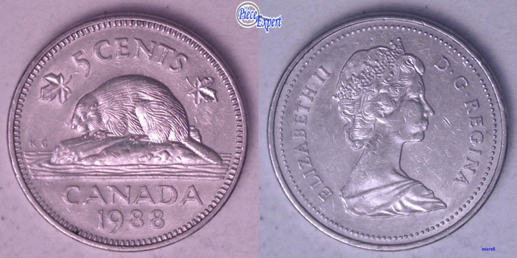 1988 - Coin fendille de la queue au listel 5_cent29