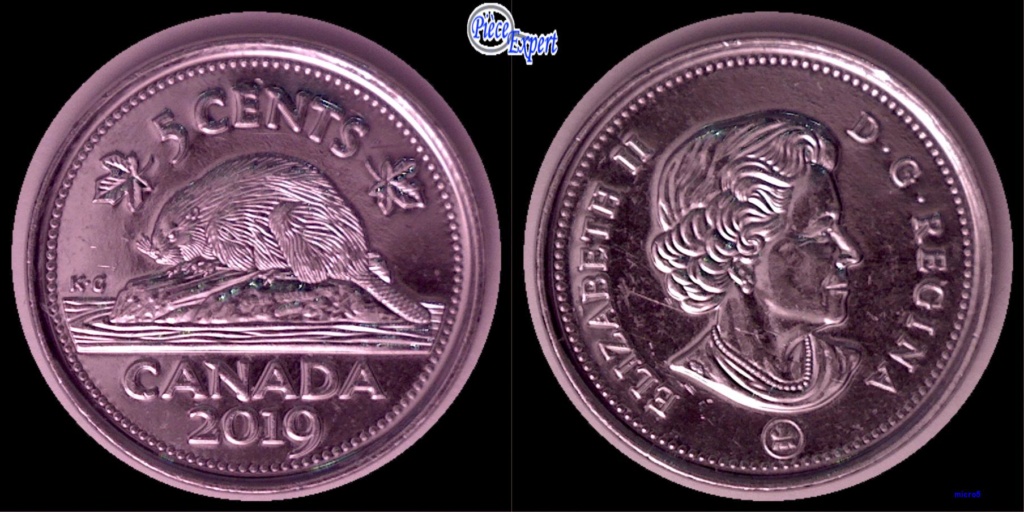 2019 - Eclat de coin sur N de Canada 5_cent42