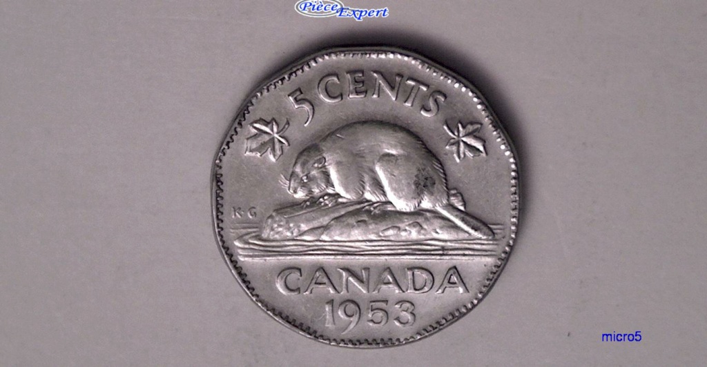 1953 - NSF, Loin, coin décalé Revers 5 TS de Cents et Feuille droite. Cpe_1376