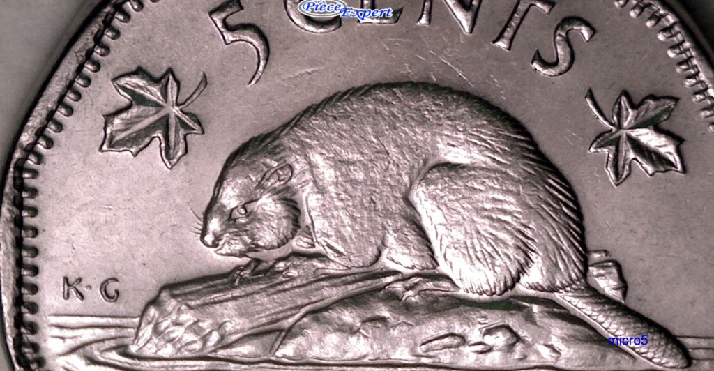 1962 - Coin obturé dos du castor (Majeur) Cpe_1964