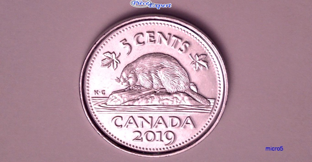 2019 - Eclat de coin sur N de Canada Cpe_i315
