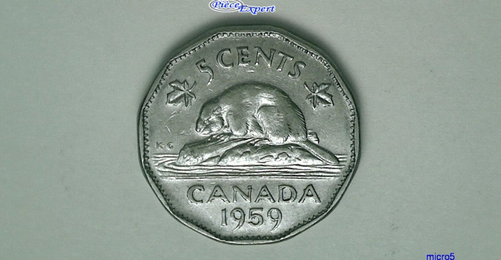 1959 - Coin détérioré, tête du castor Cpe_i964