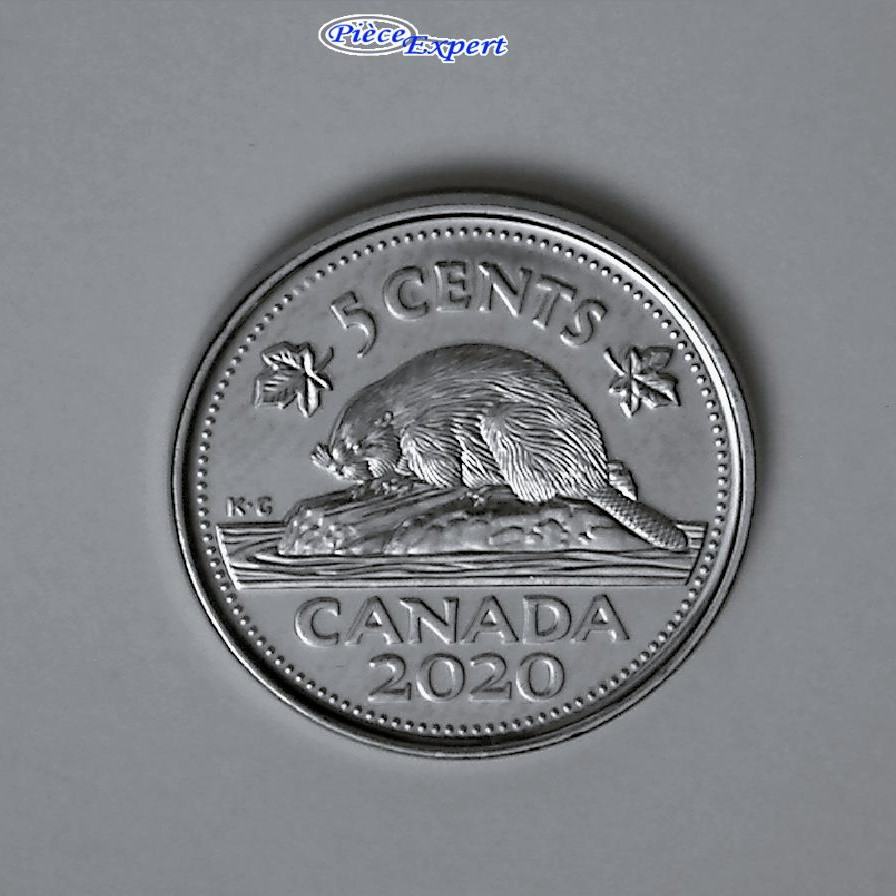 2020 - Logo: coin Obturé Imag1106