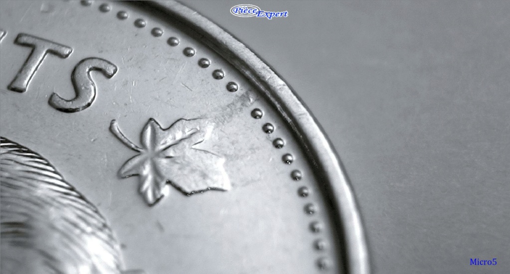 2003P - Coin obturé Feuille droite et cheveux de la reine Imag1110