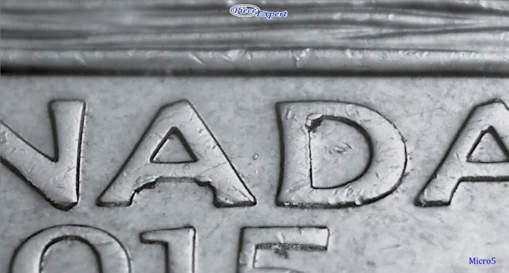 2015 - Éclat de Coin dans AD de canADa (Die Chip) Imag1123