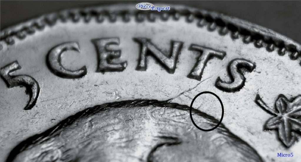 1949 - Coin fendillé dos du castor, Entrechoqué Avers / Revers Imag1463