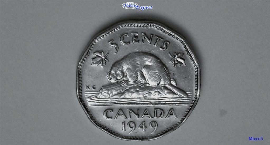 1949 - Coin fendillé dos du castor, Entrechoqué Avers / Revers Imag1470