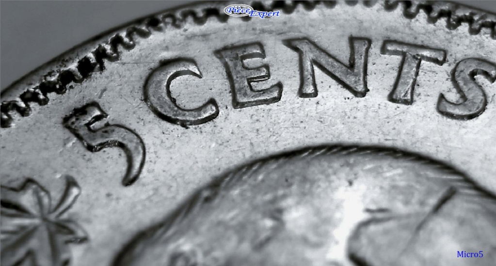 1951 - Coin détérioré Revers Imag1528