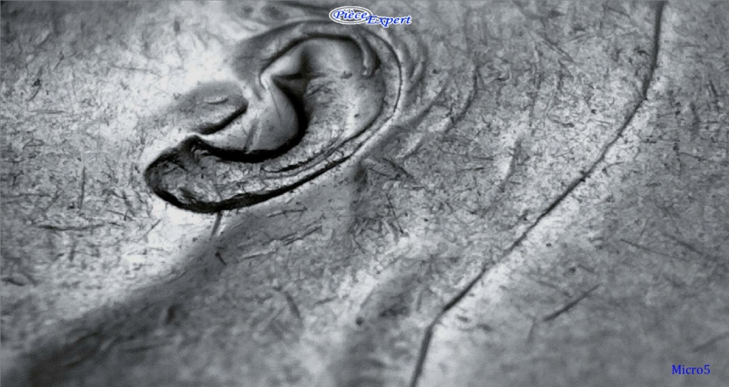 1950 - Coin entrechoqué vertical ''Spiked Ear'' Imag1601