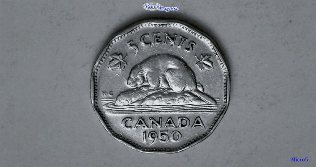 1950 - Coin entrechoqué vertical ''Spiked Ear'' Imag1602
