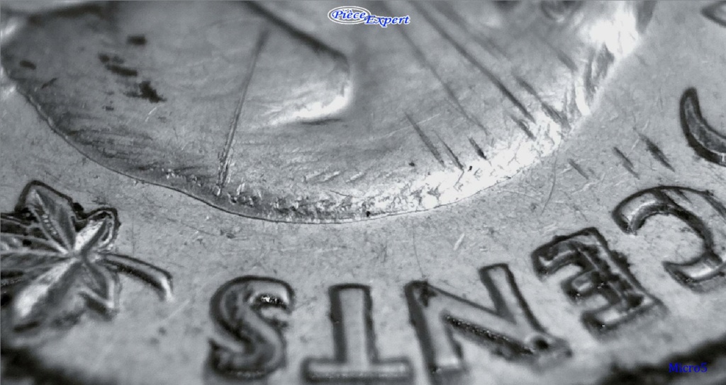 1951 - Coin détérioré Revers Imag1663