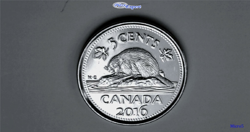2016 - Coin Obturé, queue du castor aplatie (Filled Die) Imag1705