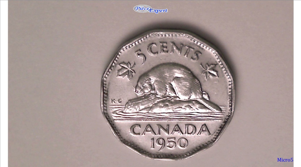 1950 - Coin détérioré Avers / Revers (Obv./Rev. Die deterioration) Image236