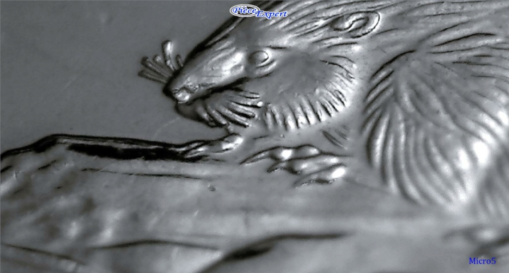 2011 - Coin entrechoqué Revers bouche du castor Image792