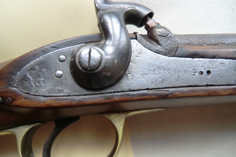 Enfield 1876 Mousqu17