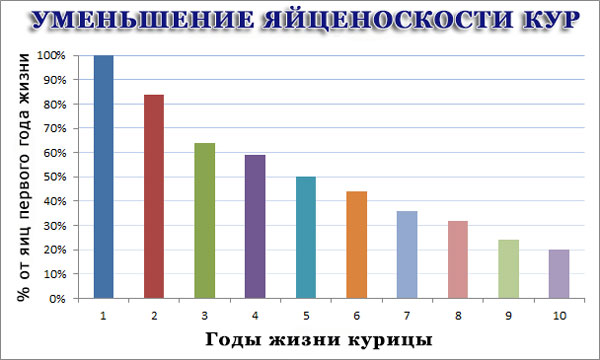 Советы новичку о курочках! - Страница 4 10-egg10