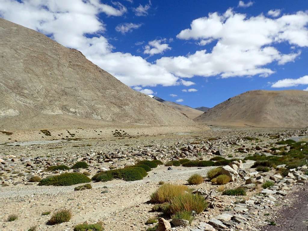 Ladakh 2016 et nord de L'Inde. - Page 3 P9091613