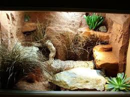 Mon terrarium en OSB Images10