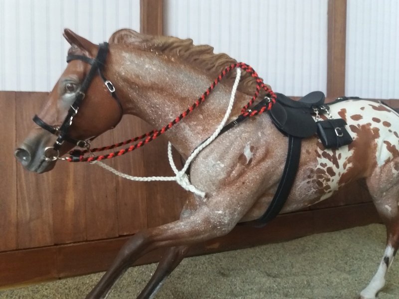 les chevaux de l’écurie Du vieux porche, bienvenue dans ce refuge miniature - Page 8 20170836