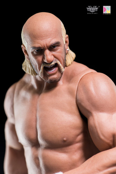 Hulk Hogan 1/6 (Catch (Storm Collectible) 11100511