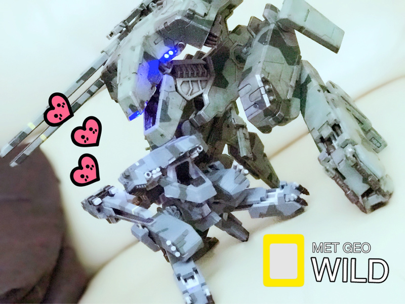 Metal Gear : Rex and Puppy Rex A60e3c10