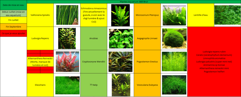Bac Amazonien 360L Brut Plante10