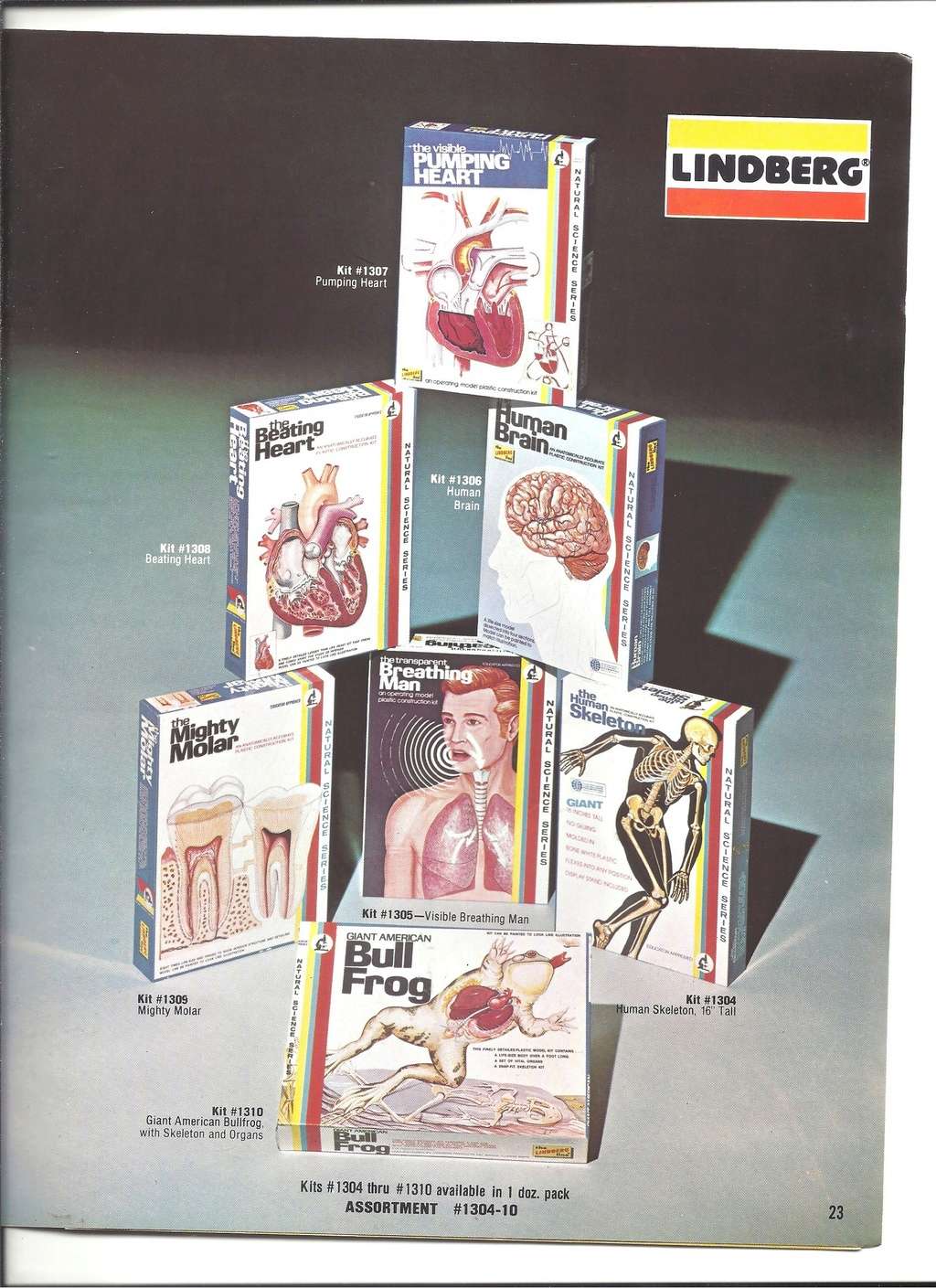 [LINDBERG 1979] Catalogue 1979 Lindb245