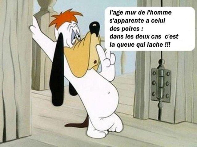 HUMOUR - blagues - Page 13 Ea696510