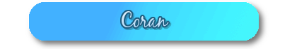 Newsletters  Coran10