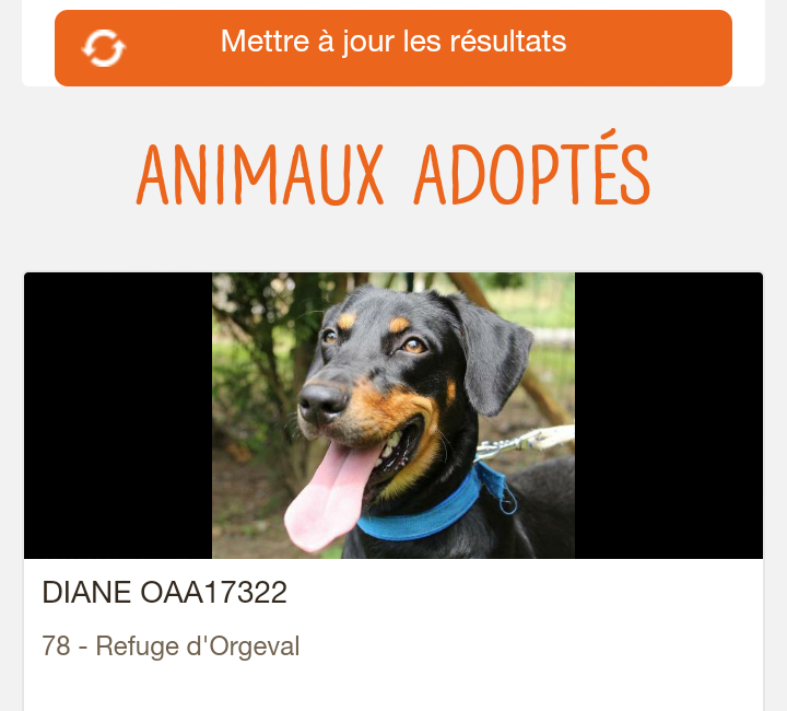 DIANE , femelle croisée beauceron née en 2016 Screen23