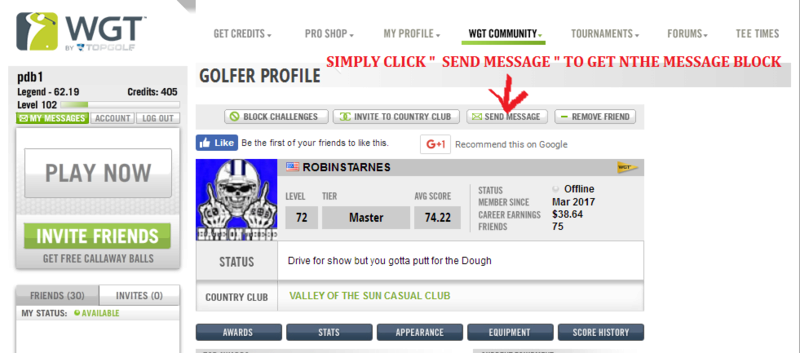 HOW TO PM MESSAGE A FRIEND IN WGT Profil10