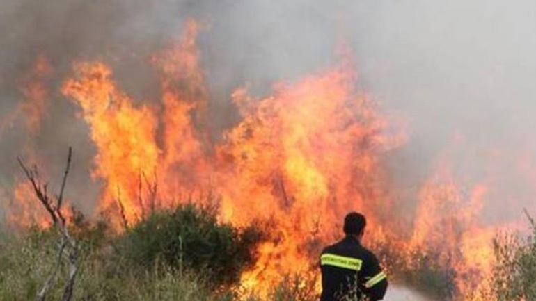 Σε εξέλιξη πυρκαγιά στην περιοχή Σκούρας στην Αχαΐα  22468711