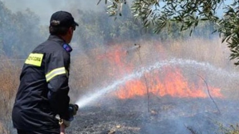 Μαίνεται η πυρκαγιά στο χωριό Λαγοπόδο της Ζακύνθου 22470010