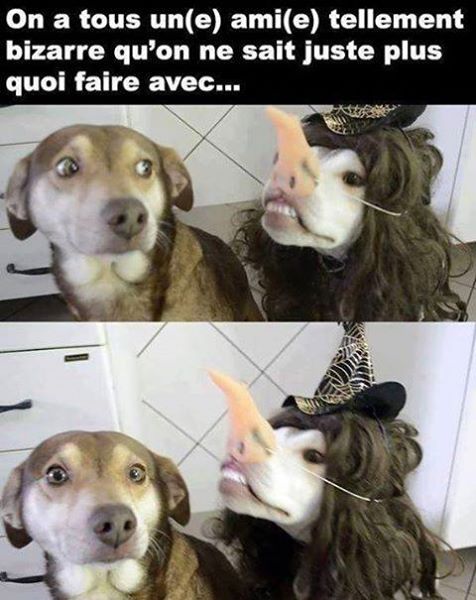 Humour en images - Page 12 19396910