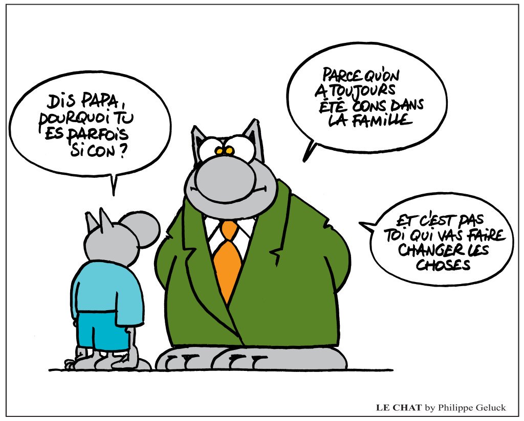 HUMOUR - Savoir écouter et comprendre... - Page 8 Chat11