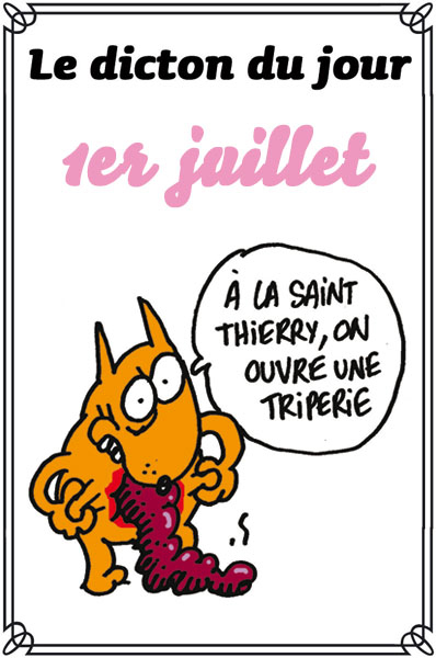 dicton du jour / dicton humour Dicton14