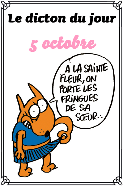 dicton du jour / dicton humour - Page 5 Dicton70