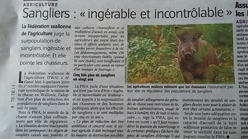Belgique : Agriculture wallonne VS Gestion sanglier 20170910