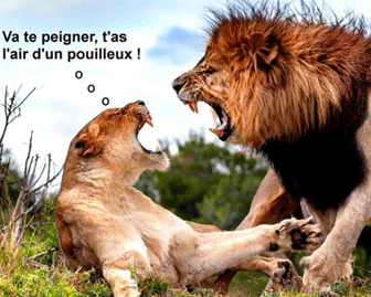 HUMOUR - Page 36 09-si-10