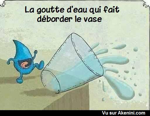 HUMOUR - Page 34 17110
